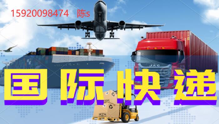多樣化的國際快遞，dhl 深圳 快遞 取件電話