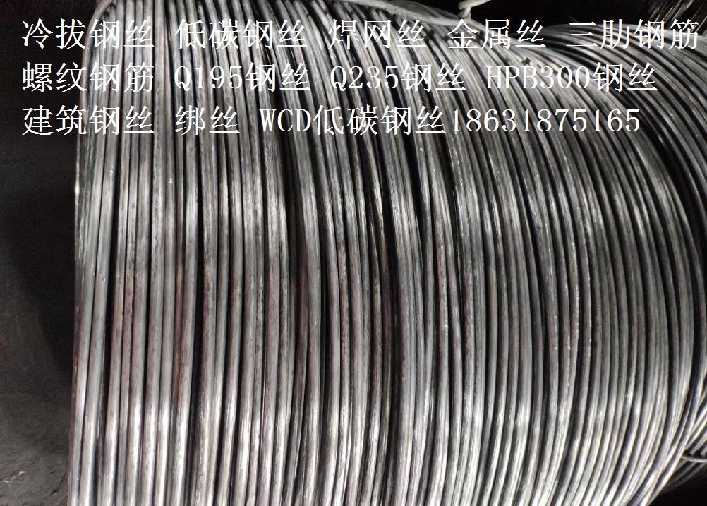 YB/T5294-2009一般用途低碳鋼絲WCD-5mm18631875165