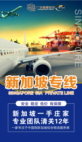垃圾袋從廣州海運到新加坡DDU