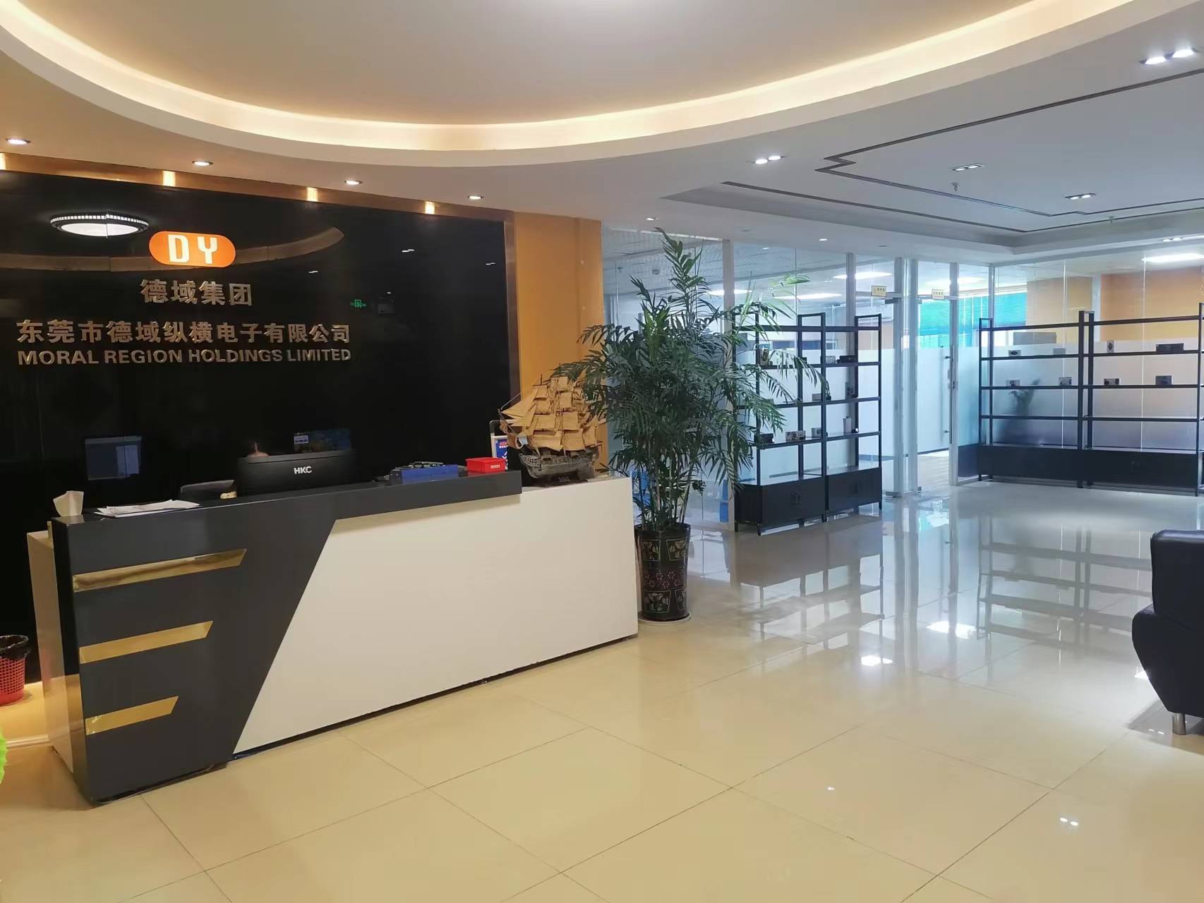 東莞市德域縱橫電子有限公司