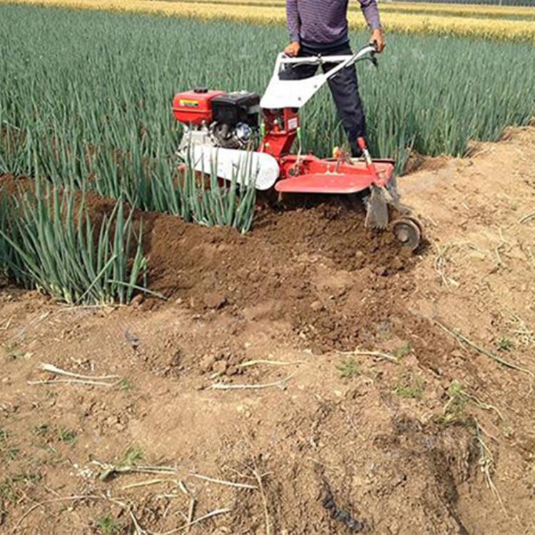 2019廣西新型甘蔗培土機(jī) 甘蔗栽培土機(jī) 農(nóng)機(jī)種甘蔗培土機(jī)視頻