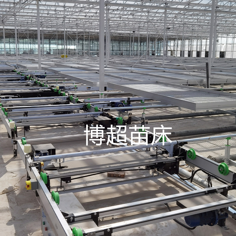 溫室花卉育苗物流全自動(dòng)潮汐苗床可支持定制