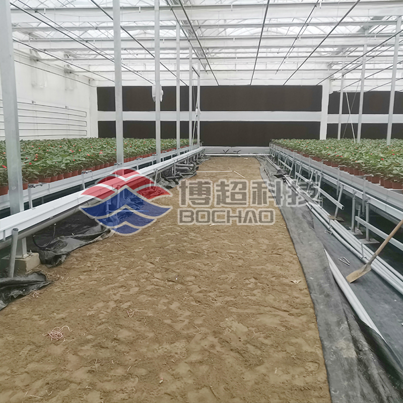 現(xiàn)代化農業(yè)設備潮汐式物流苗床