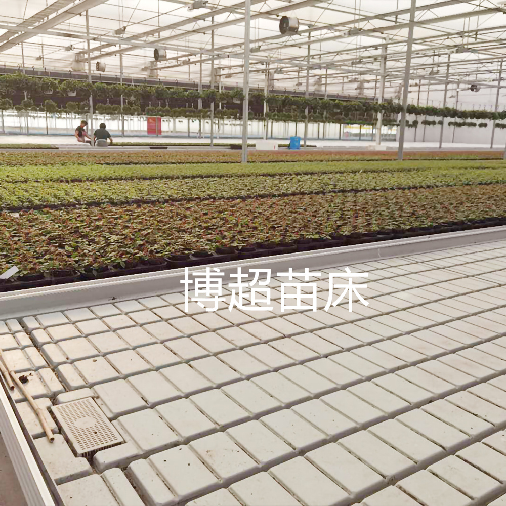 溫室育苗潮汐灌溉苗床植物種植架