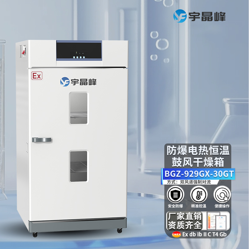 防爆電熱恒溫鼓風(fēng)干燥箱（D/L/T)款