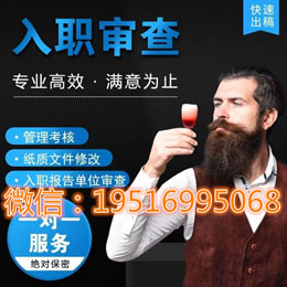 個(gè)人征信模板可編輯生成器下載使用方法